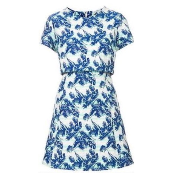 Topshop Dresses & Skirts - Top Shop Palm Dress Cut Out Skater Dress 2